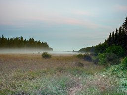 IMGP8267_HDR_Mosedalen